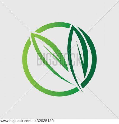 Logos Of Green Leaf Ecology Nature Element Vector