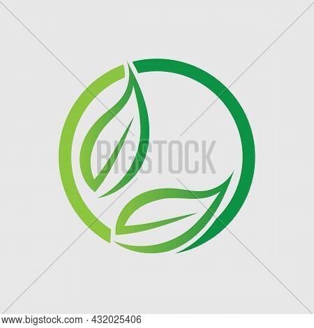 Logos Of Green Leaf Ecology Nature Element Vector