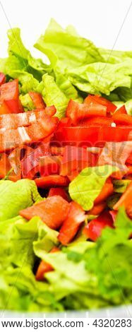 Fresh Raw Green Healthy Lettuce Salad In Glass Plate, Isolated On White Background