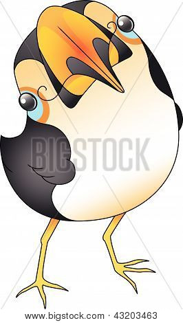 Toucan Tilt