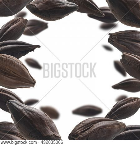 Roasted Rye Malt Grains Levitate On A White Background