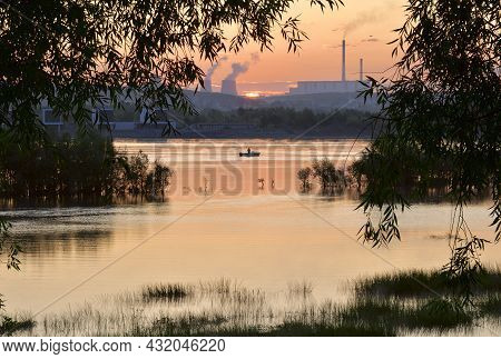 Sunrise Over The Ob River. Pink Morning Over The Siberian River, Trees In The Water, Hanging Branche