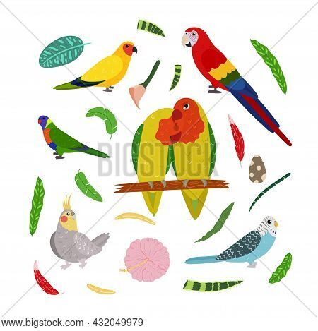 Design Template With Parrots In Square For Kid Print. Rectangle Composition Of Tropical Birds Lovebi