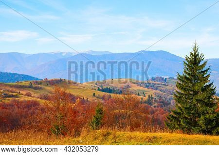 Sunny autumn  day in Carpathian Mountains, Zakarpattia Oblast,  Ukraine.
