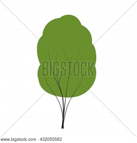 Tree Set On Doodles Vector Any Season Winter, Spring, Summen And Autumn. Flat Style