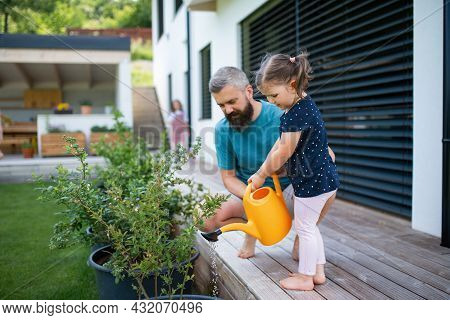 Father And Small Daughter Outdoors In Tha Backyard, Watering Plants.