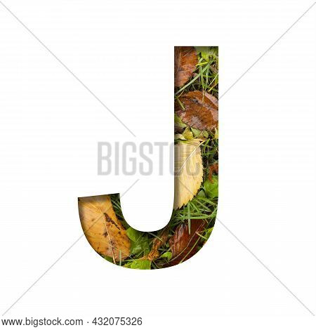Early Autumn Font.the Letter J Cut Out Of Paper On A Background Of Green Grass With Yellow Autumn Le