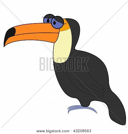 Tukan-Cartoon-Vektor-Illustration