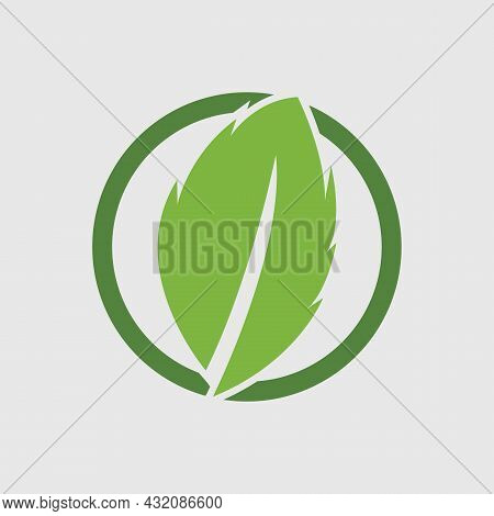 Logos Of Green Leaf Ecology Nature Element Vector