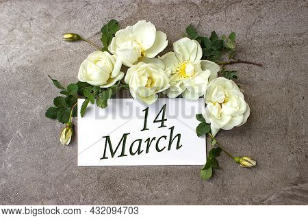 March 14th. Day 14 Of Month, Calendar Date. White Roses Border On Pastel Grey Background With Calend