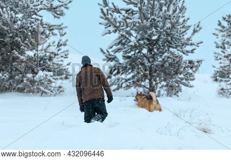 Defocused Winter Background. Man And His Dog Are Walking Through The Snowdrifts During A Snowfall.