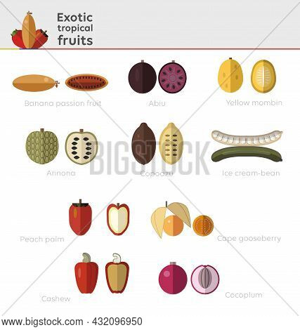 10 Exotical Tropical Fruits In Flat Design, Interior And Exterior View. Set Of Tropical Fruits