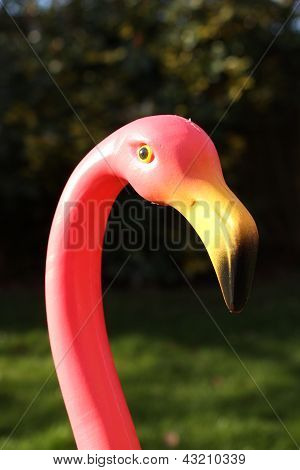 rózsaszín flamingó kertben