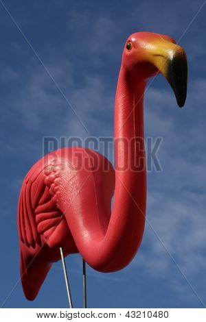 Flamingo kék ég háttér