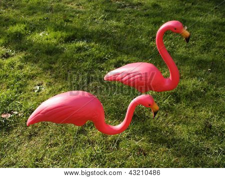 pár gyep flamingók