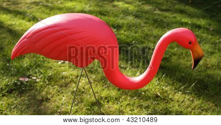 rózsaszín flamingó kertben