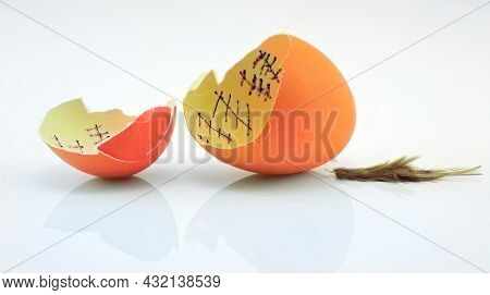The Chicken Has Counted Down The Days And Finally Escaped The Egg, Leaving Behind Only A Feather