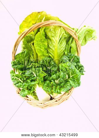 Fresh Baby Bok Choy e Cos insalata nel cestino Ratten Isolated On White Background