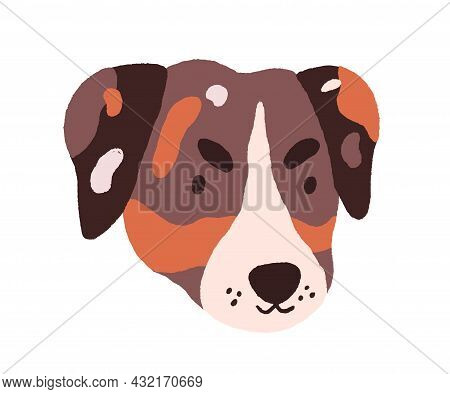 Cute Dogs Face. Puppys Head Of Jack Russell Terrier. Adorable Doggy Portrait. Amusing Funny Muzzle O