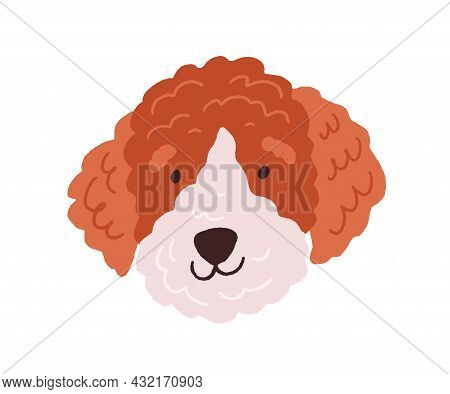 Cute Dogs Face. Funny Head Of Puppy With Curly Fluffy Hair. Canine Animals Muzzle. Adorable Doggy Po