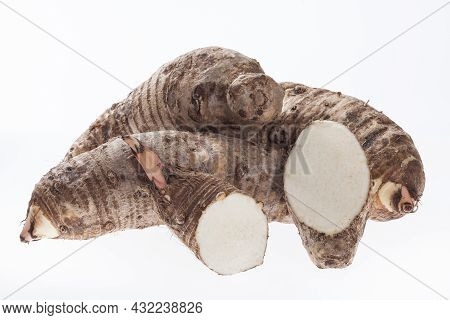 Malanga Edible Tuber - Root Of The Plant Called Colocasia Esculenta
