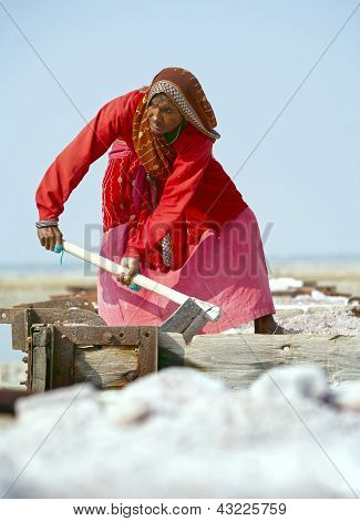 Zout werken, Sambhar Salt Lake, Rajasthan, India