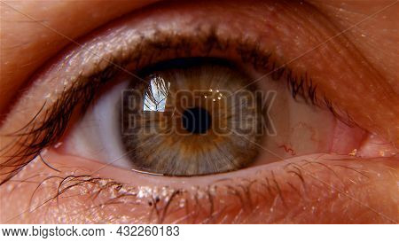 Macro Image Of Human Eye. Sight. Pupi