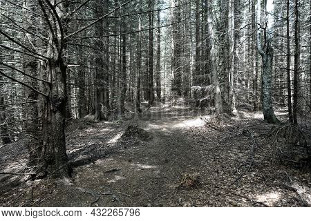  Summer landscape in the Carpathians, Pestera Village, Romania, Europe                            