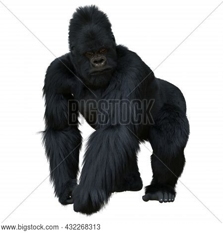Black Silver Gorilla 3d Illustration Isolated On White