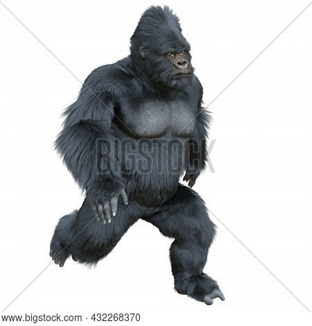 Black Silver Gorilla 3d Illustration Isolated On White
