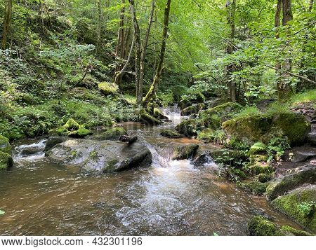 Gorges of the monne river in the green forest, olloix, Puy-de-DÃ´me, Auvergne