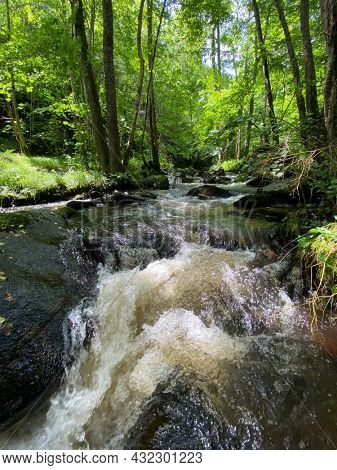 Gorges of the monne river in the green forest, olloix, Puy-de-DÃ´me, Auvergne