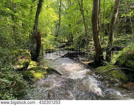 Gorges of the monne river in the green forest, olloix, Puy-de-DÃ´me, Auvergne