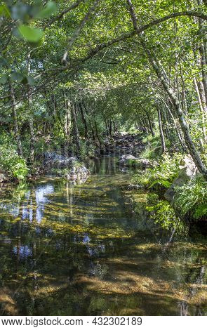 Barrel Vault Forest At Ribera De Acebo River. Exceptional Nature Spot In The Heart Of Sierra De Gata