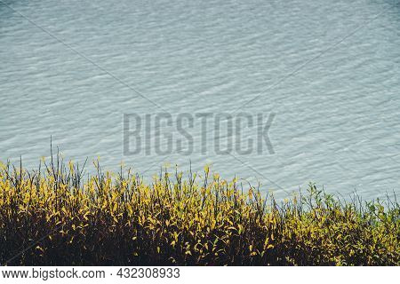 Meditative Autumn Nature Background With Golden Leaves Above Shiny Lake Water With Ripples. Beautifu