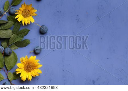 Branches With Blackthorn Sloe Berries, Sunflower Flower On A Purple Background With Copy Space. Than