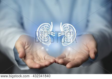 Kidney Issues Medical Concept. Photo Of Female Doctor, Empty Space.