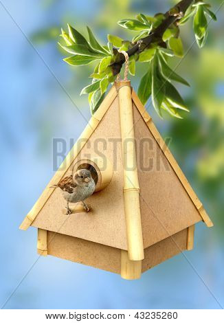 Madárka, és a Birdhouse