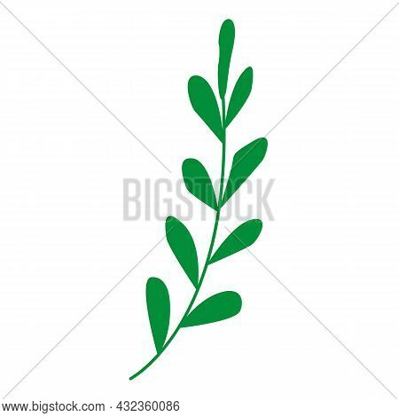 Hand Drawn Abstract Green Branch With Leaves Isolated. Floral Element. Cartoon Style. Summer, Spring