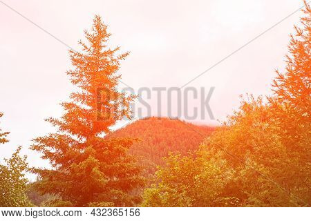 Vacation Landscape. Russian Altai Mountains. Multa Region. Holiday At Home. Staycation Concept. Long