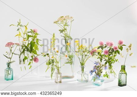 Wild Field Herbs In Bottles Of Different Shapes On A White-gray Background As A Decoration. Card, Bo