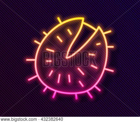 Glowing Neon Line Chestnut Icon Isolated On Black Background. Barbed And Strong Chestnut. Vector