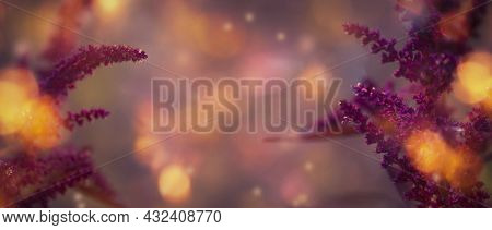 Autumn Natural Background With Burgundy Amaranth Flower, Banner With Copy Space