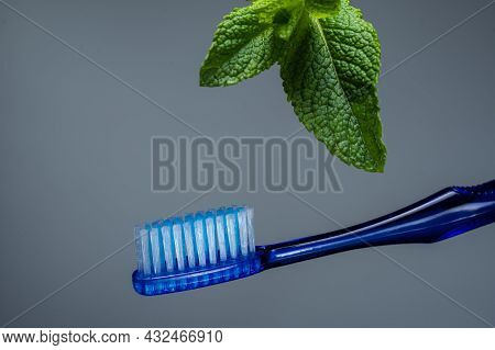 Toothbrush And Mint Leaf. Toothbrush Without Paste. Isolate On A Gray Background.