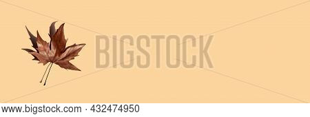 Banner One Brown Dry Autumn Fallen Maple Leaf Sycamore On Beige Background With A Beautiful Shadow O