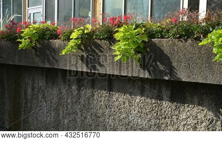 On The Edge Of The Elevated Terrace Overlooking The Park Is A Concrete Long Flowerpot With A Concret