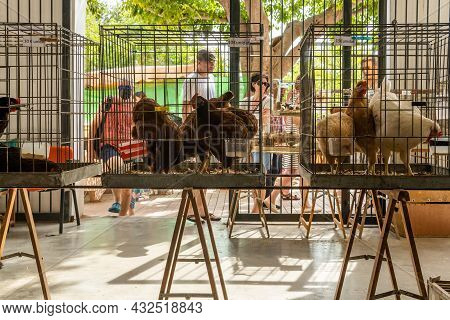 Sineu, Spain; September 08 2021: Weekly Street Market Of Food, Crafts And Animals In The Mallorcan T