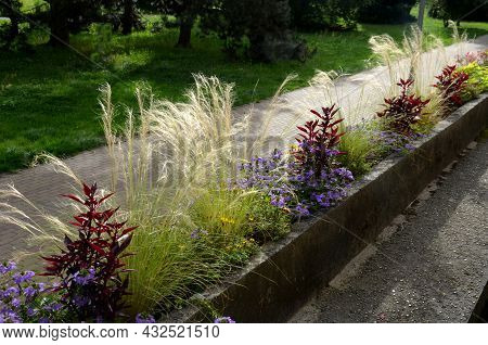 On The Edge Of The Elevated Terrace Overlooking The Park Is A Concrete Long Flowerpot With A Concret