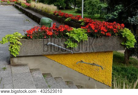 On The Edge Of The Elevated Terrace Overlooking The Park Is A Concrete Long Flowerpot With A Concret