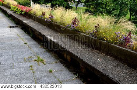 On The Edge Of The Elevated Terrace Overlooking The Park Is A Concrete Long Flowerpot With A Concret
